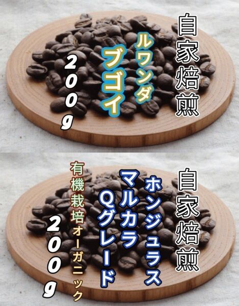 【ルワンダ】ブゴイ【ホンジュラス】SHGマルカラ 各200g(自家焙煎 コーヒー豆 珈琲 コーヒー)