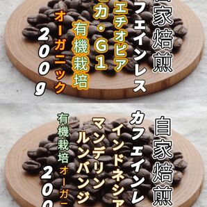 カフェインレス【エチオピア】モカ・G1【インドネシア】マンデリン 自家焙煎豆 各200g (自家焙煎 コーヒー豆 コーヒー)