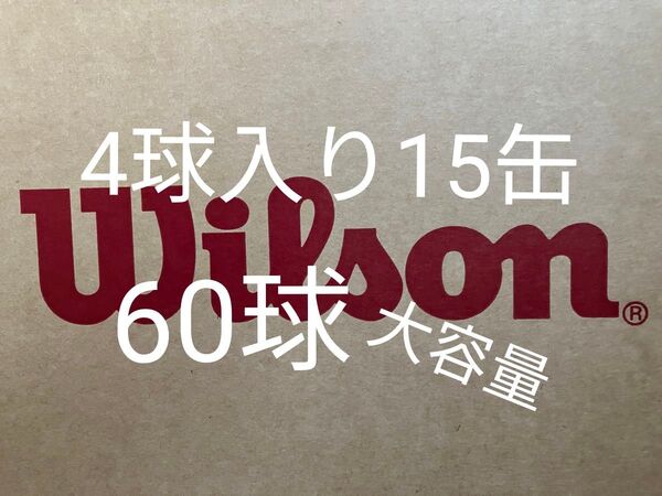 ウィルソン ツアースタンダード WILSON TOUR STANDARD 1箱 15缶 60球 硬式 テニスボール 期間限定 新品