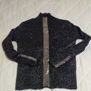 極美品/USED chic ラメニット 黒 シルバーライン 参考価格5,800