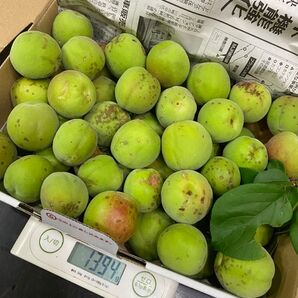 青梅 ゆうパケットプラス 1.3キロ前後