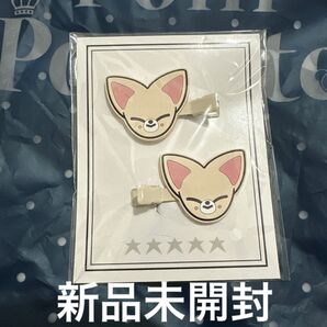 【新品未開封】StrayKids アイエン ヘアクリップ
