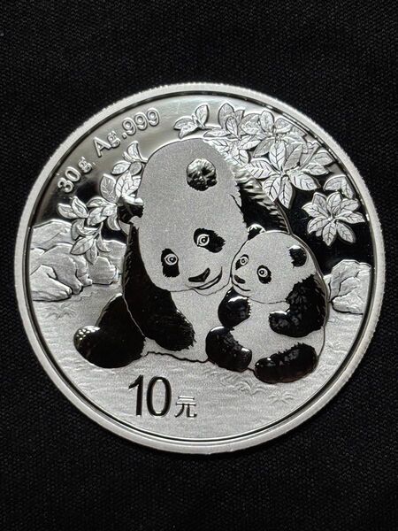 パンダ銀貨 2024年製 コインケース付き! 中国人民銀行発行 純銀99.9% 福袋付き!即購入可!即日発送!Sv1000