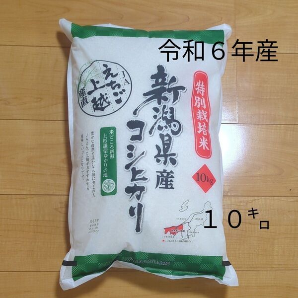 令和6年産 特別栽培米 新潟県産コシヒカリ10㌔