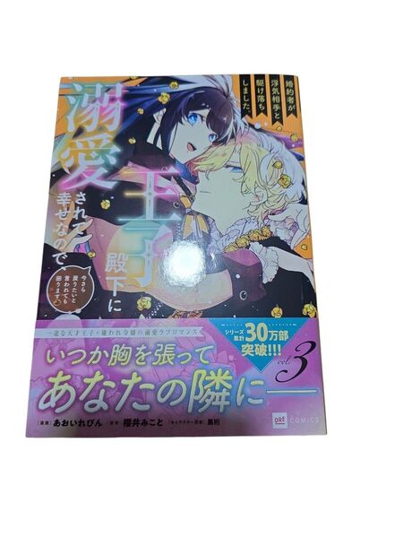 婚約者が浮気と駆け落ちしました3