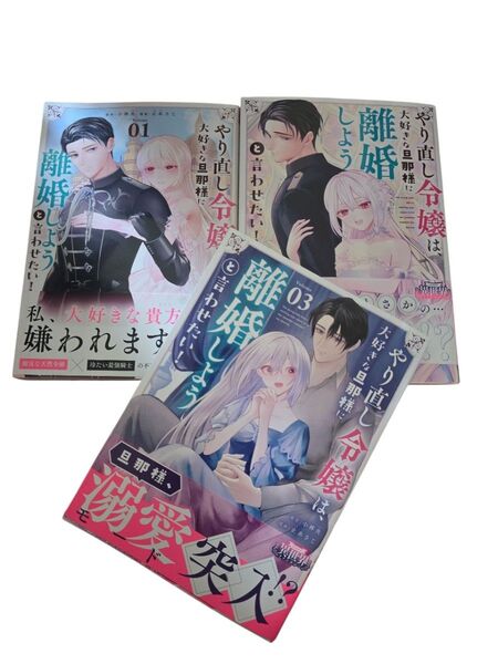 やり直し令嬢は、大好きな旦那様に離婚しよう!と言わせたい1~3