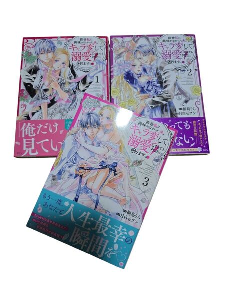 前世私に興味がなかった夫、キャラ変して溺愛してきても対応に困りますっ!1~3