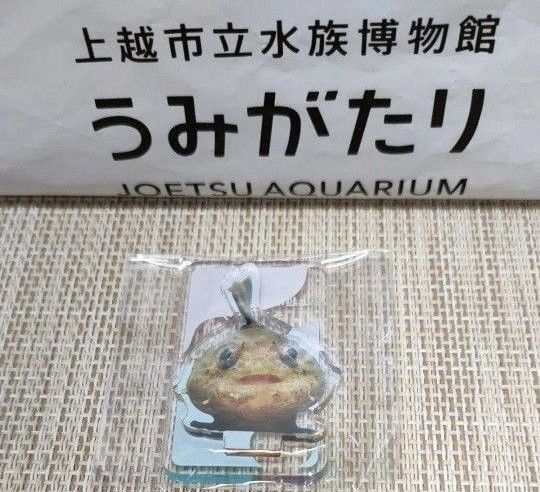【未使用】うみがたり オリジナル アクリルスタンド サクラダンゴウオ ダンゴウオ 水族館