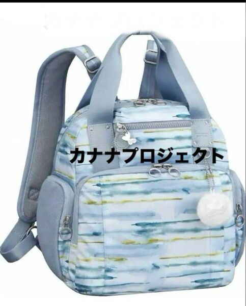 新品未使用 エース ACE カナナプロジェクト リュックサック 抗菌・抗ウィルスポケット 定価19,800円