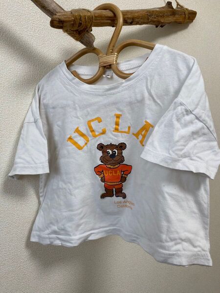 韓国子供服UCLA Tシャツ 90cm〜100cm