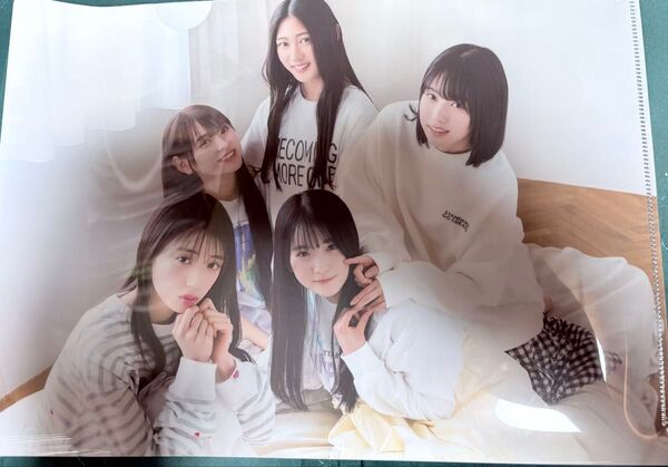 乃木坂46 6期生 A4クリアファイル B.L.T.セブンネットショッピング特典