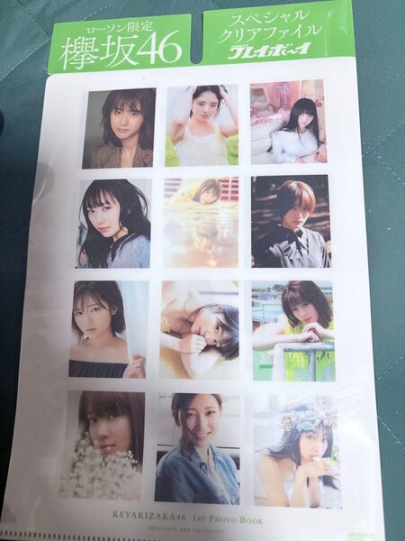 平手友梨奈・今泉佑唯・長濱ねる・菅井友香・渡邉理佐・小林由依etc.【欅坂46】クリアファイル