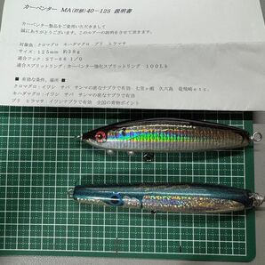 カーペンター ルアー セット ウッドルアー ペンシル クロマグロ キハダマグロ ブリ ヒラマサ