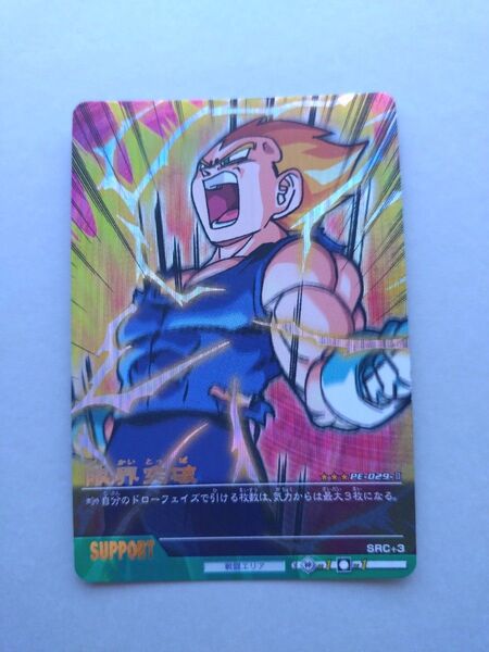 ドラゴンボールデータカードダス 爆レア 限界突破 PE