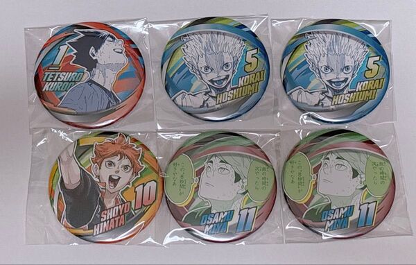 ハイキュー ファンパーク コレクション缶バッジ コレ缶 キービジュアル KV日向 黒尾 宮治 星海
