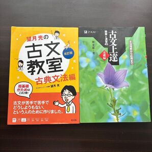 古文参考者
