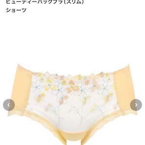 ショーツ ウイングフフ
