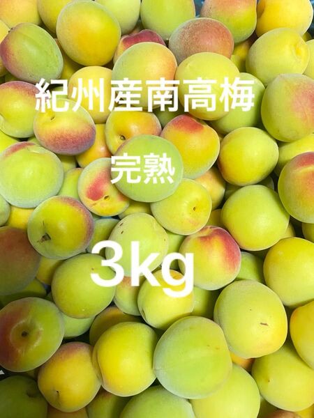 南高梅 紀州和歌山産 産地直送 大きめ3kg 梅ジュース 梅酒 梅シロップ用 梅干し 完熟