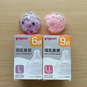 ピジョン 母乳実感 哺乳瓶 乳首 L LL 1個ずつ