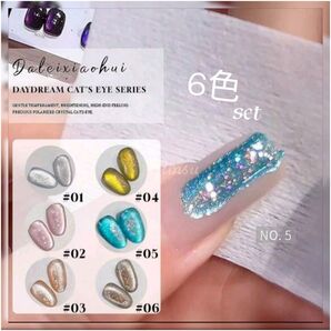 6点セット デイドリームマグネットジェルネイル 高発色カラージェル 609