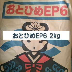 日清丸紅飼料 おとひめEP6 2kg 沈下性 6.4×5.4㎜ ※送料無料※
