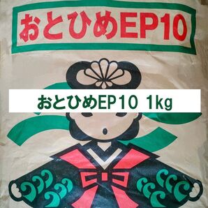 日清丸紅飼料 おとひめEP10 1kg 沈下性 10.0×8.0㎜ ※送料無料※
