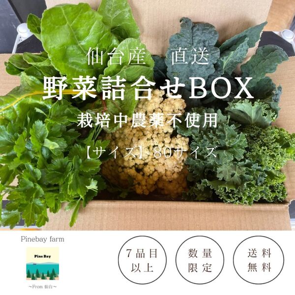 季節の野菜セット 80サイズ 7種以上 栽培中農薬不使用