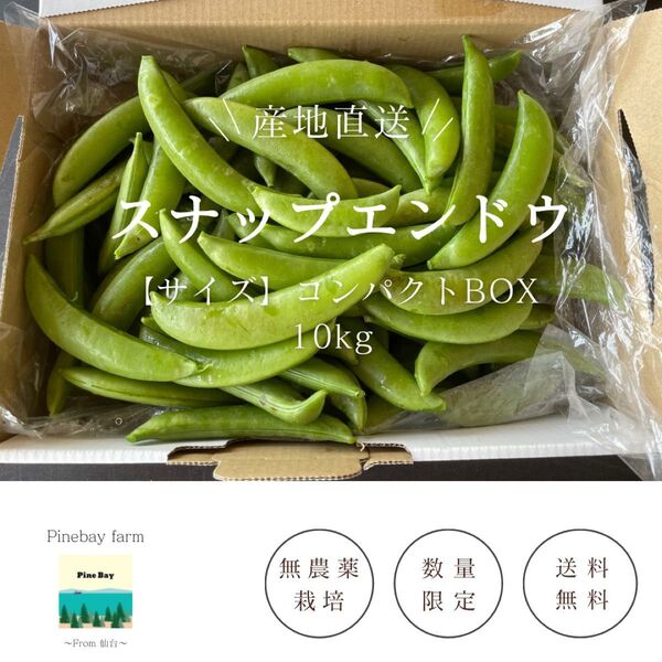 スナップエンドウ 1kg コンパクトBOX