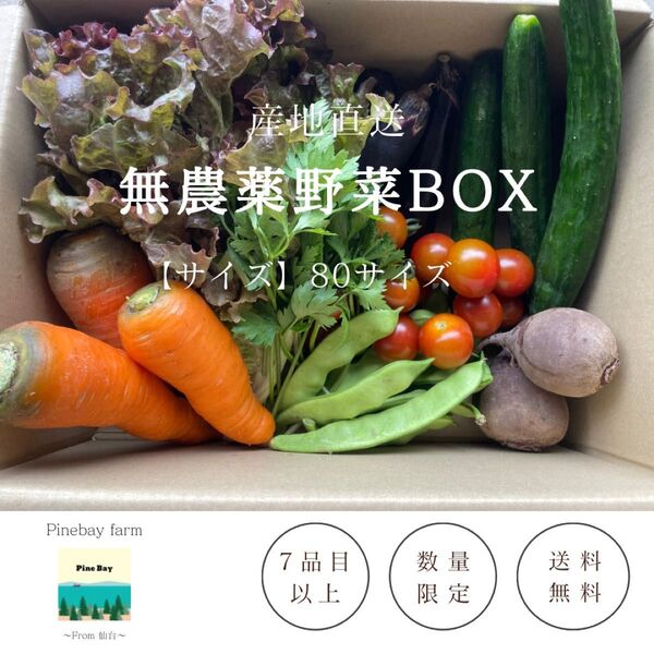季節野菜の詰め合わせ 80サイズ 7種以上 無農薬