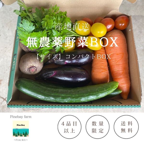 季節の野菜セット 4種以上 コンパクトBOX 無農薬栽培