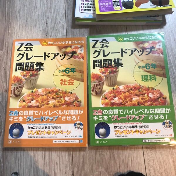 Z会グレードアップ問題集小学6年理科 社会