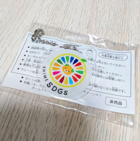 みきゃん ゆるキャラ アクリルキーホルダー アクキー キーホルダー 非売品 SDGs かわいい 愛媛