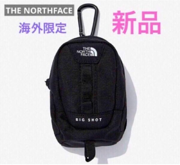 THENORTHFACEノースフェイスミニビッグショットポーチカラビナ