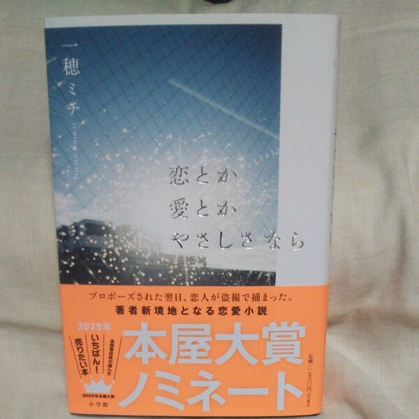 新品/未読品♪恋とか愛とかやさしさなら 一穂ミチ/著です♪