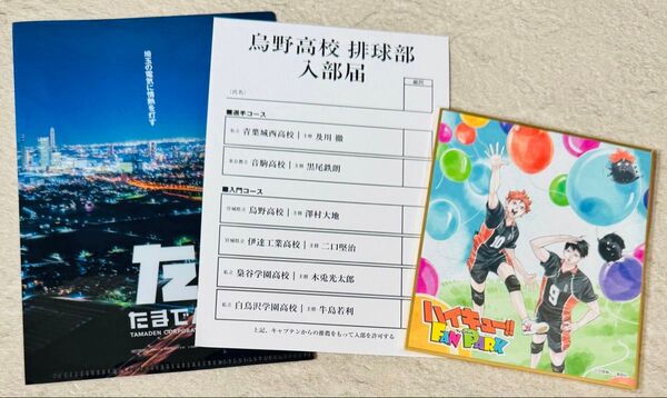 ハイキュー ファンパーク 来場者特典 色紙 たまでん クリアファイル 入部届 FAN PARK