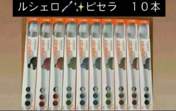 XGJ様