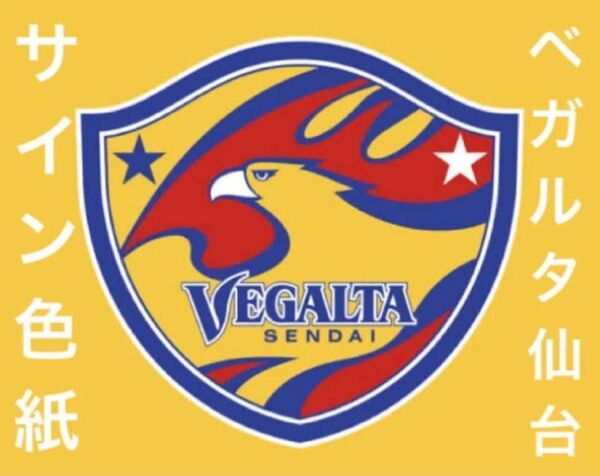 ☆バラ売り可 即日発送☆ 元ベガルタ仙台選手 サイン色紙3枚