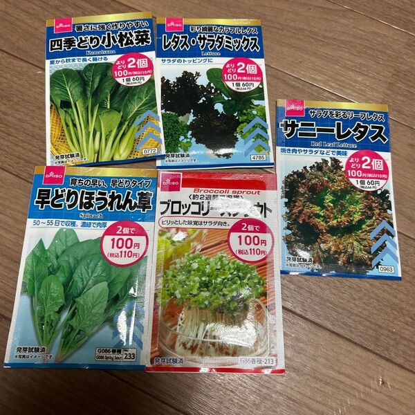 5点セット DAISO 種 野菜