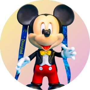 アナハイムディズニーランド ミッキーマウス ポップコーンバケット トーキング 70周年