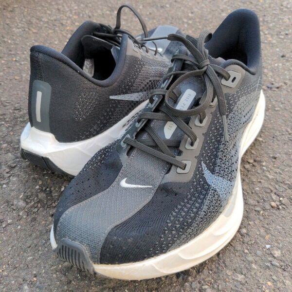 NIKE ペガサスプラス 28.0 Pegasus Plus