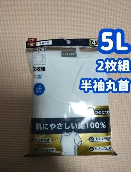 【半袖丸首 5L】インナーシャツ 綿100 肌着 天竺編み 2枚組