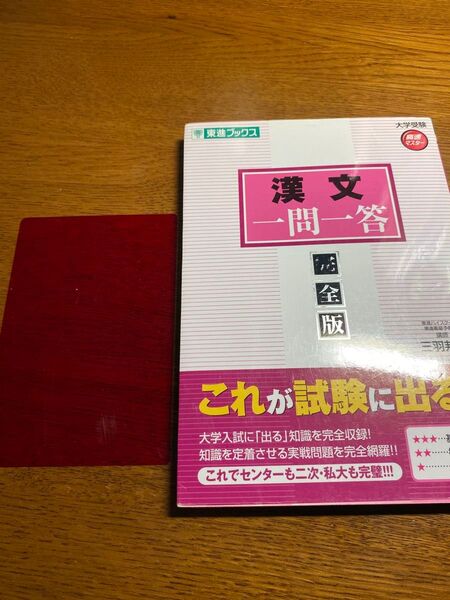 漢文一問一答 完全版 (東進ブックス 大学受験高速マスターシリーズ) 三羽邦美 古典 漢文 句法 読解 共通テスト 私大 国立