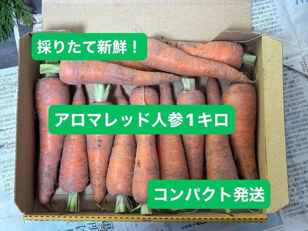 採りたて新鮮! アロマレッド人参 1キロ 宅急便コンパクト発送 フルーツ人参