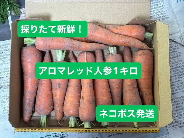 採りたて新鮮! アロマレッド人参 1キロ 宅急便コンパクト発送 フルーツ人参 にんじん