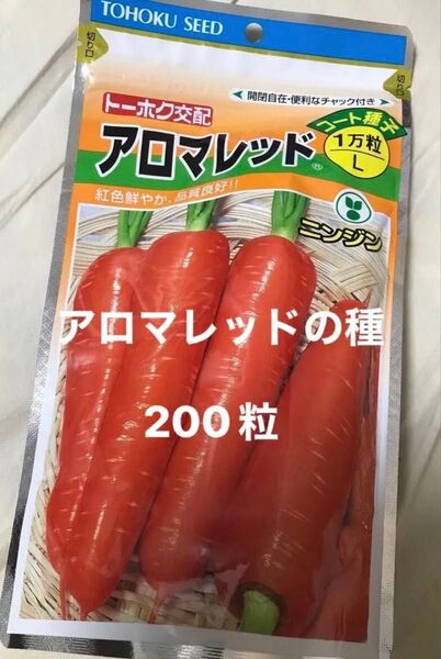 種子 人参 アロマレッド 約200粒 アロマレッドの種 コード種子 春夏まき兼用品種 有効期限2025年10月 フルーツニンジン