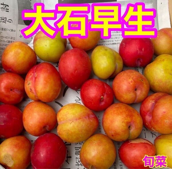 スモモ 大石早生 1キロ以上 低農薬 ご家庭用 季 すもも