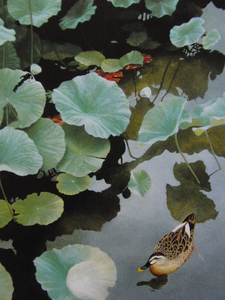 Art hand Auction Kazabun Rokusho, [Un petit soleil dans une feuille de lotus], Extrait d'un rare livre d'art encadré grand format, Produits de beauté, peintre japonais, Tout neuf avec cadre, frais de port inclus, peinture, peinture à l'huile, Nature, Peinture de paysage