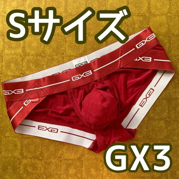 【GX3】ビキニパンツ Sサイズ