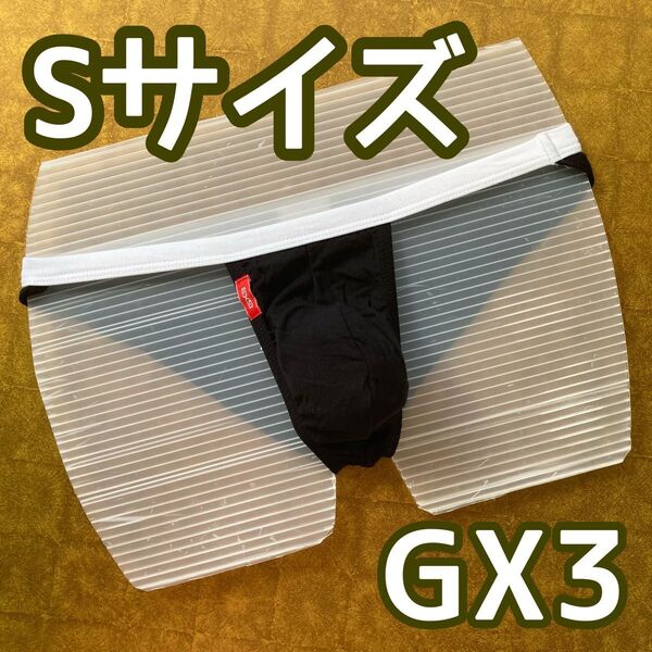 【GX3】ビキニパンツ Sサイズ