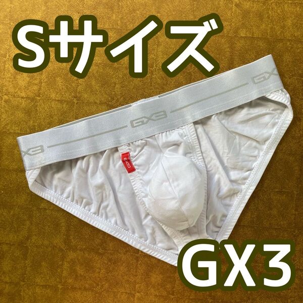 【GX3】ビキニパンツ Sサイズ